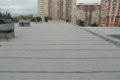ending_Roofing_06130-1024